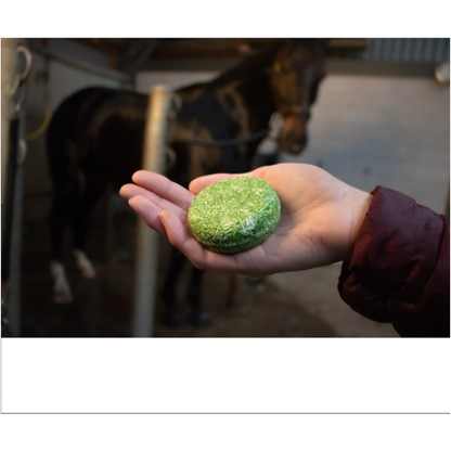 Excellent Horse Hi Gloss Shampoo Bar