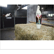Excellent Horse Muscle Cream 1 kg