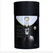 Excellent Horse Prominent 2,5 kg
