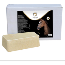 Excellent Horse Salzleckstein Mineral