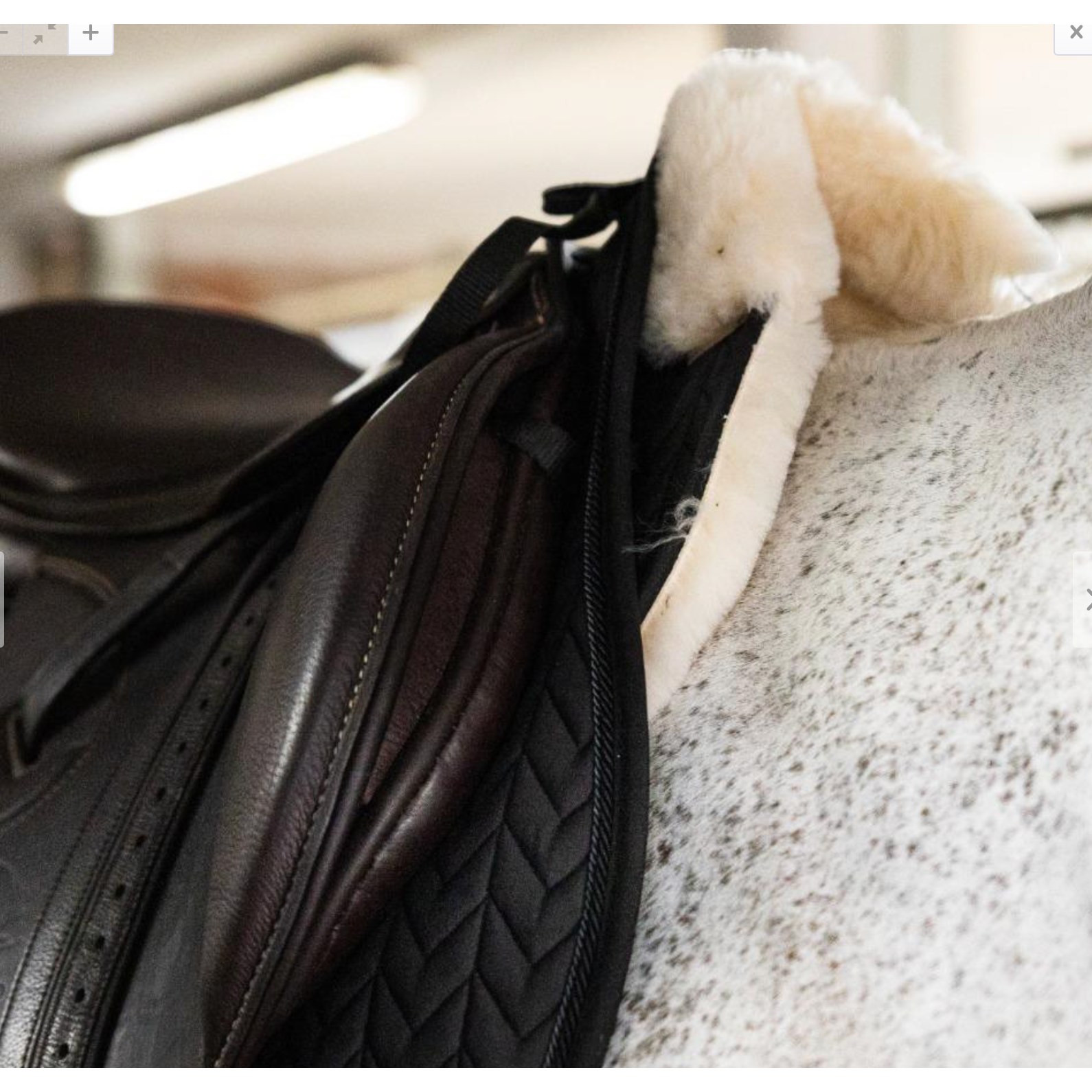 Black EQuest® Merino Pad - Qualität und Komfort