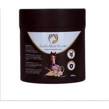 Excellent Horse Garlic Allicin Pulver 800 g