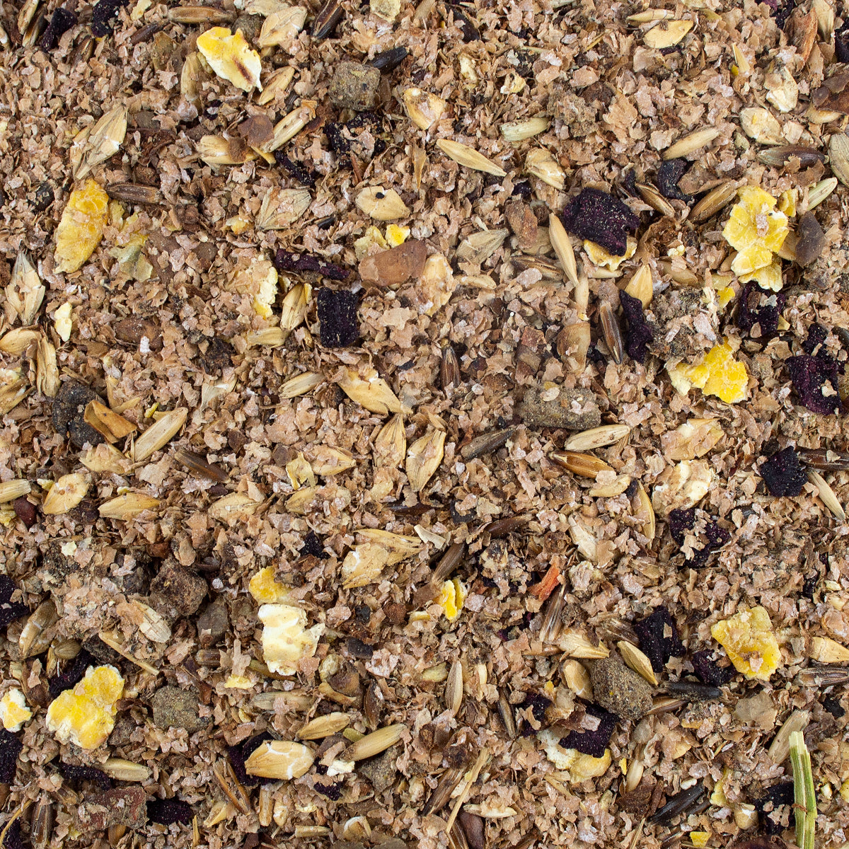 SPEED RED APPLE Mash - Kaster Cheval