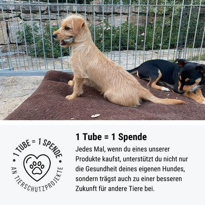 Tales & Tails Super Schleckpot - Ente