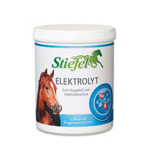 Elektrolyt