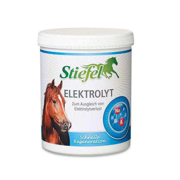 Elektrolyt