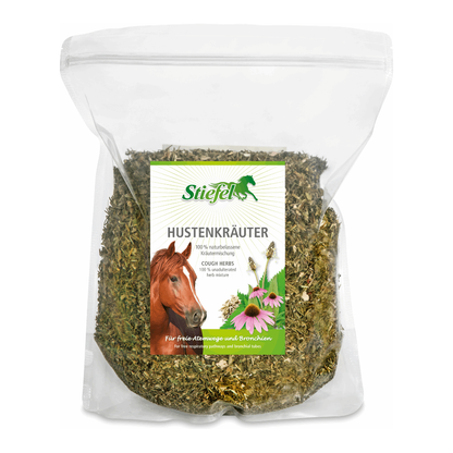 Stiefel Hustenkräuter - Kaster Cheval