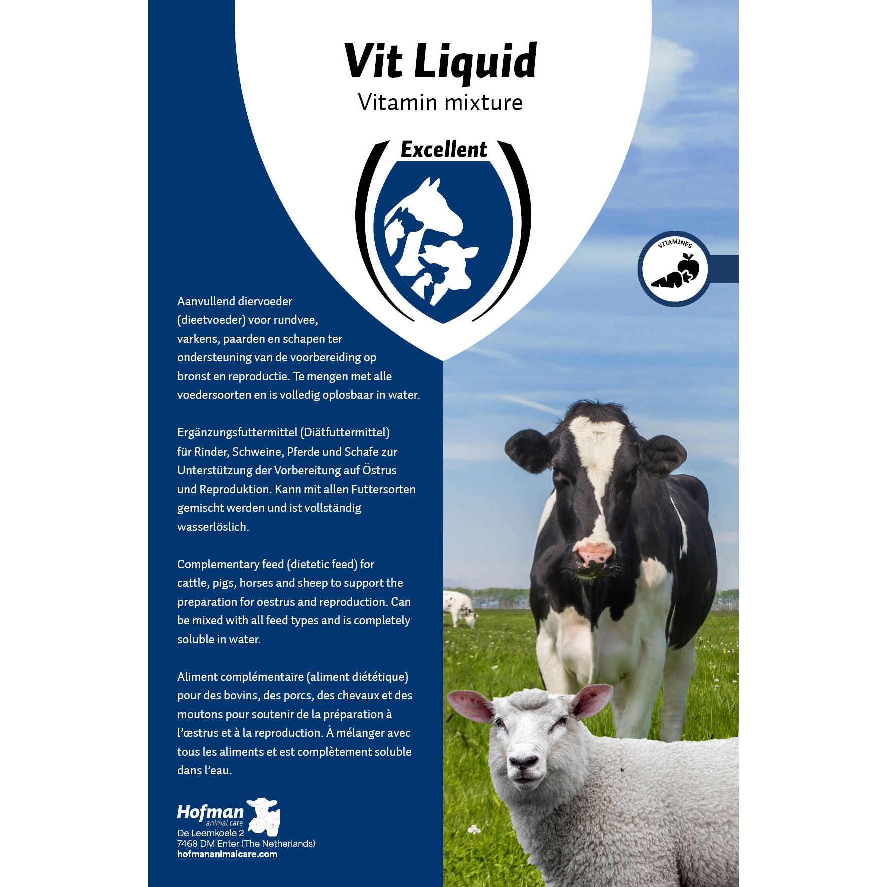 Light Steel Blue Excellent Vit Liquid Multivitamin 1 l