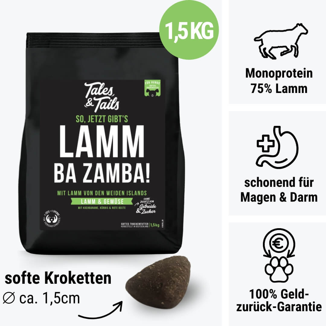 Tales & Tails LammBa Zamba!