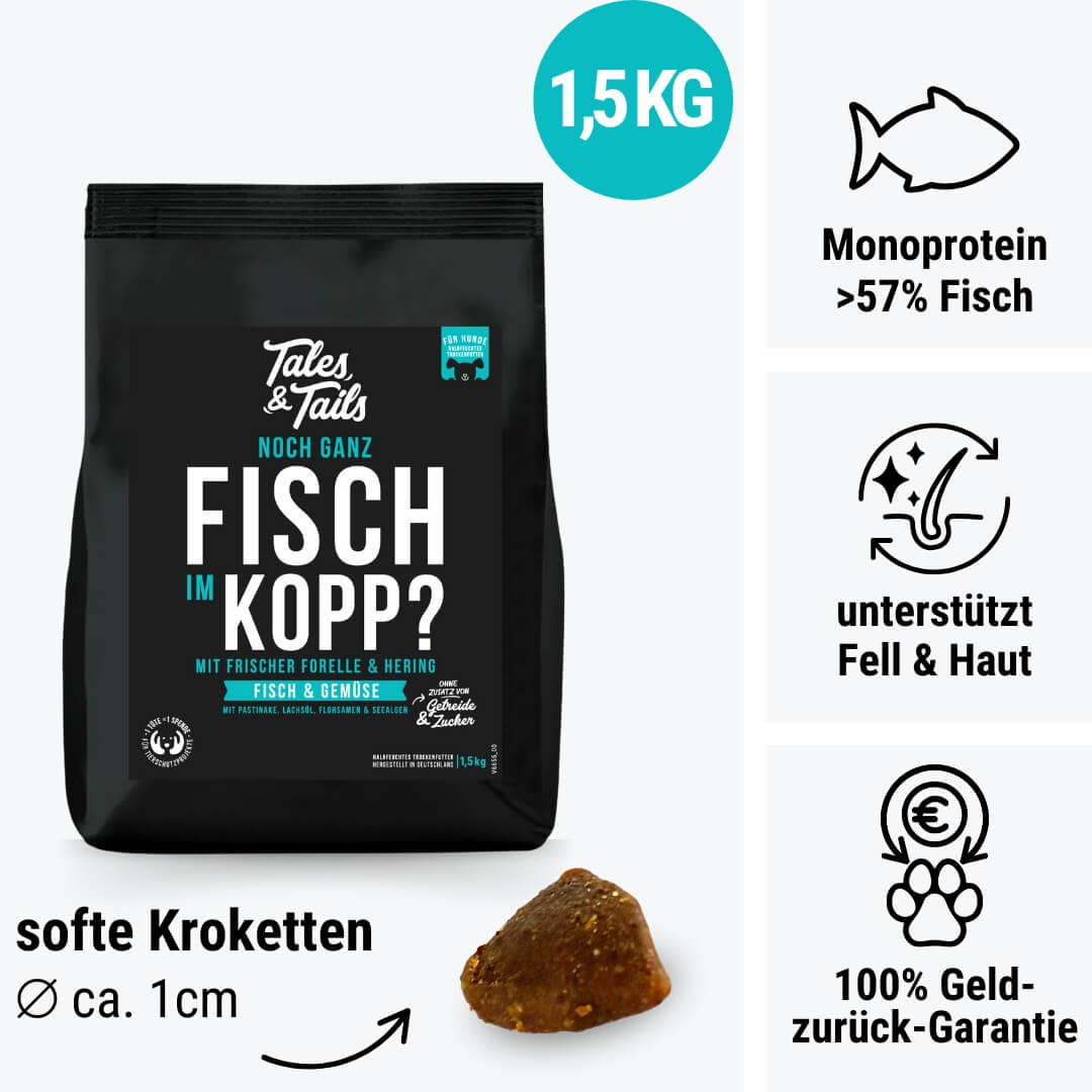 Tales & Tails Noch ganz Fisch im Kopp?