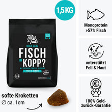 Tales & Tails Noch ganz Fisch im Kopp?
