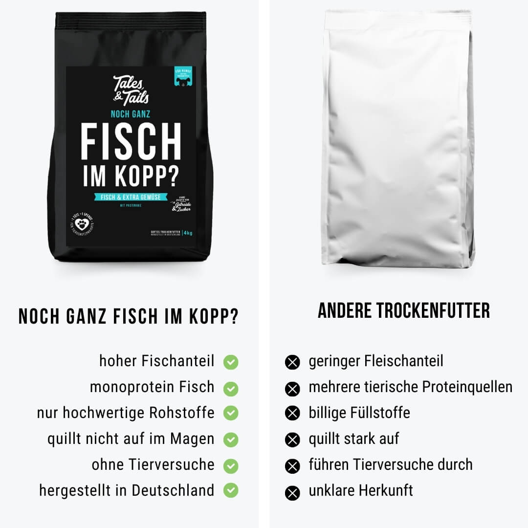 Tales & Tails Noch ganz Fisch im Kopp?