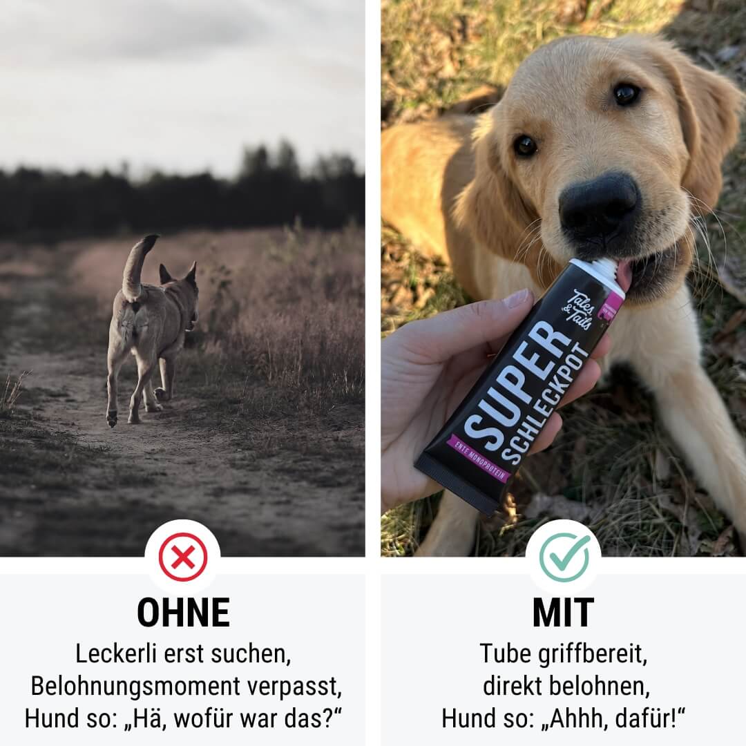 Tales & Tails Super Schleckpot - Ente