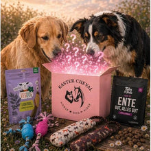 Hunde Mysterybox – Personalisierte Überraschungsbox für deinen Hund 🐶