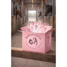 Mysterybox Pferd und Reiter – Personalisierte Überraschungsbox für Dich & dein Pferd 🐴✨