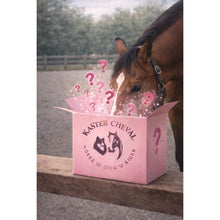Mysterybox Pferd – Personalisierte Überraschungsbox für dein Pferd 🐴✨