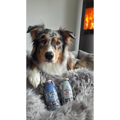 Smoothidog Hundesmoothie Limitierte Winter Edition - Après Ski Snack