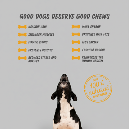 Dog Dental Chew - Cheese & Chicken - Medium