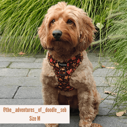 Hundegeschirr Falling For You