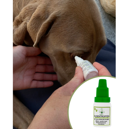 TraumaPet Augentropfen
