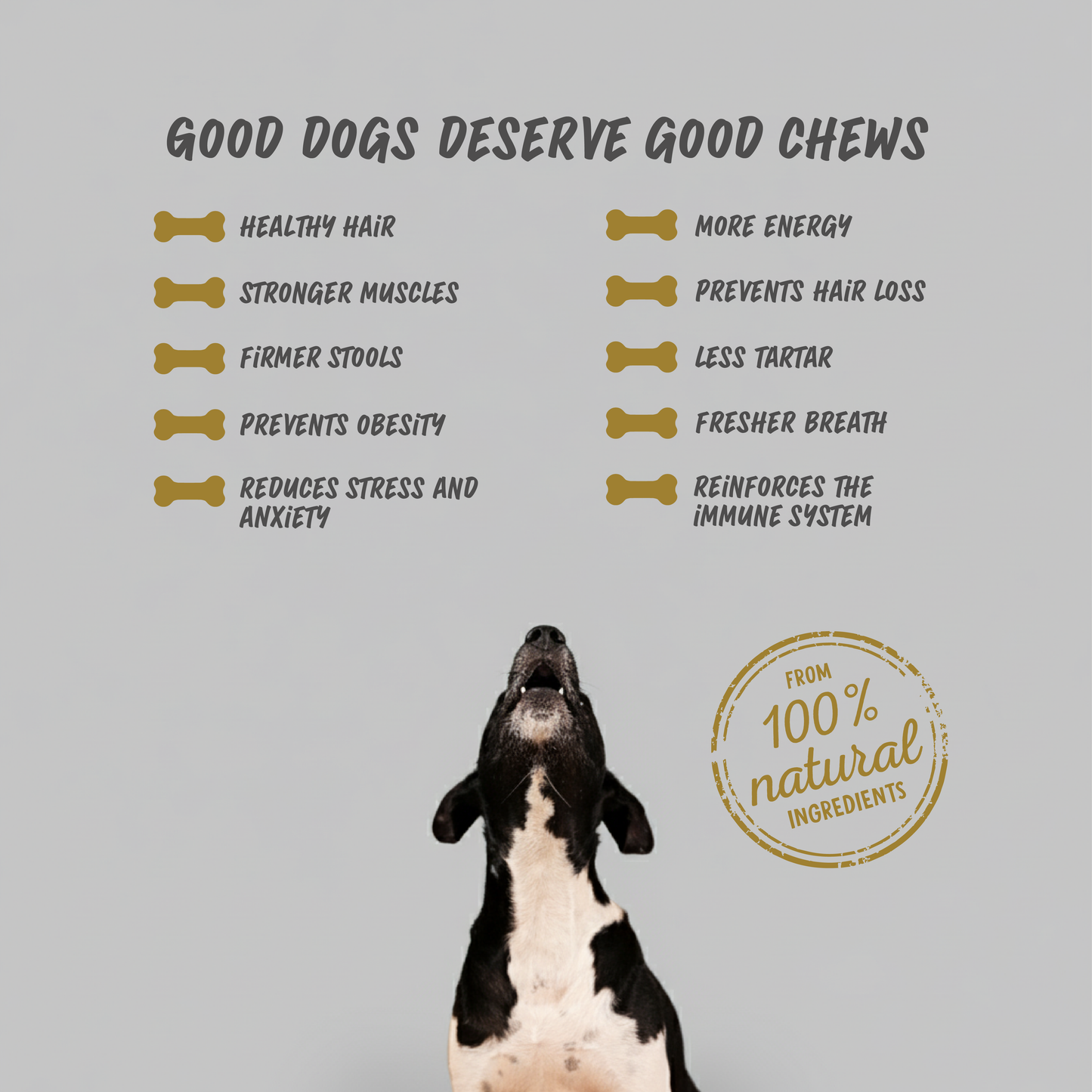 Dog Dental Chew - Cheese & Duck - Large