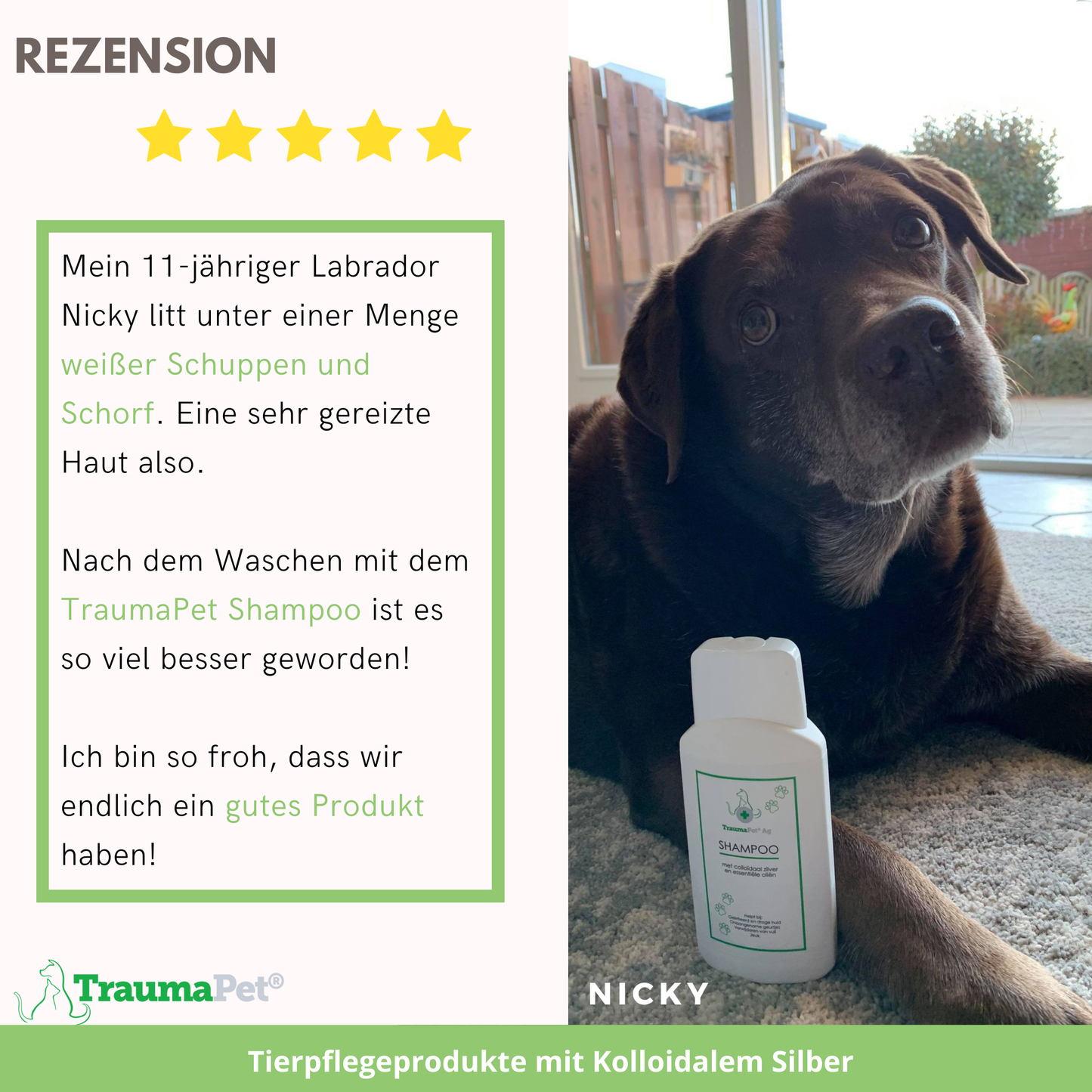 TraumaPet Shampoo mit kolloidalem Silber
