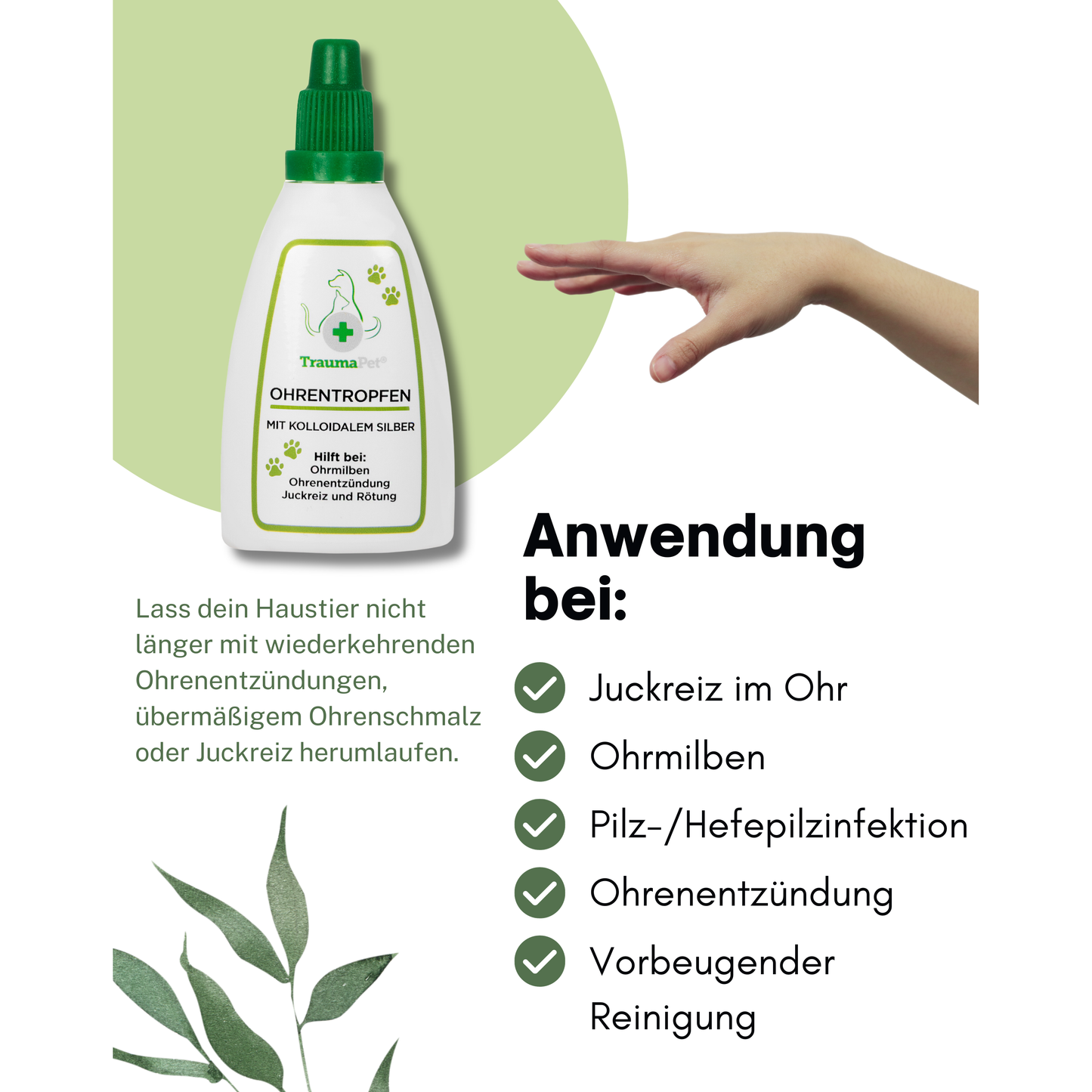 TraumaPet Augentropfen