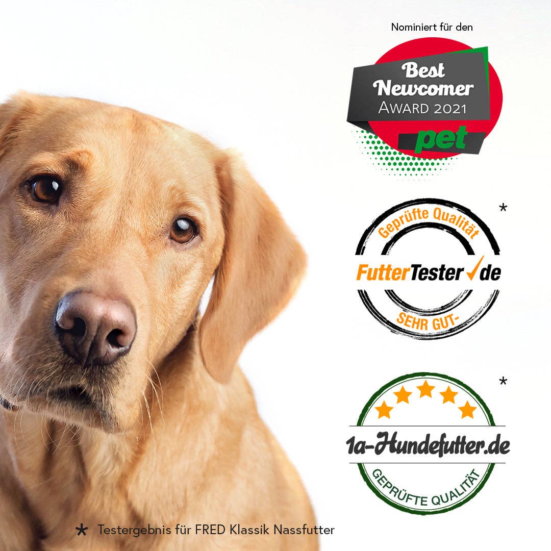 FRED Rind mit Nudeln