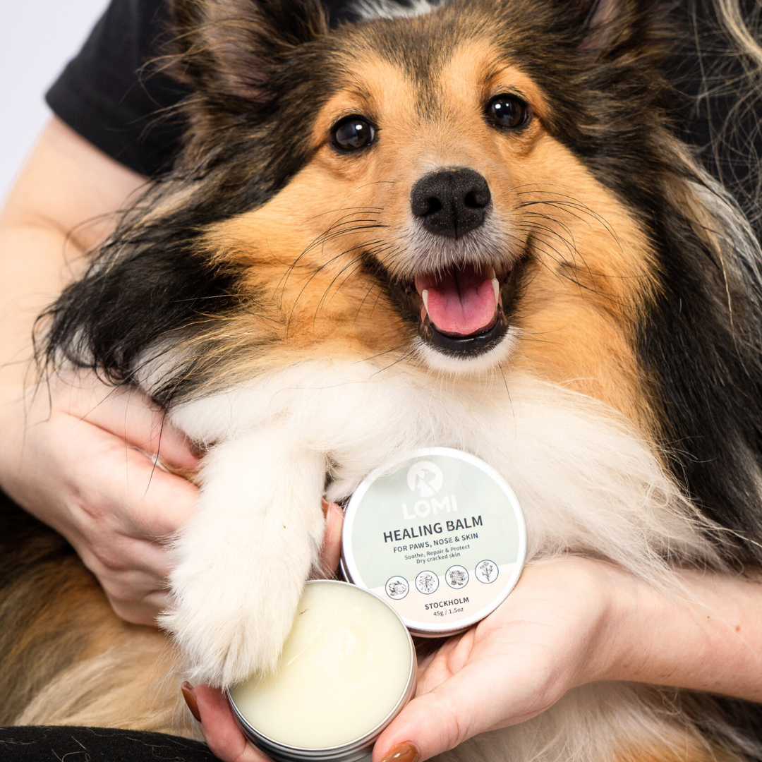 Lomi Pets Healing Balsam