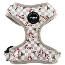 Geschirr – Jolly Woofs Kollektion