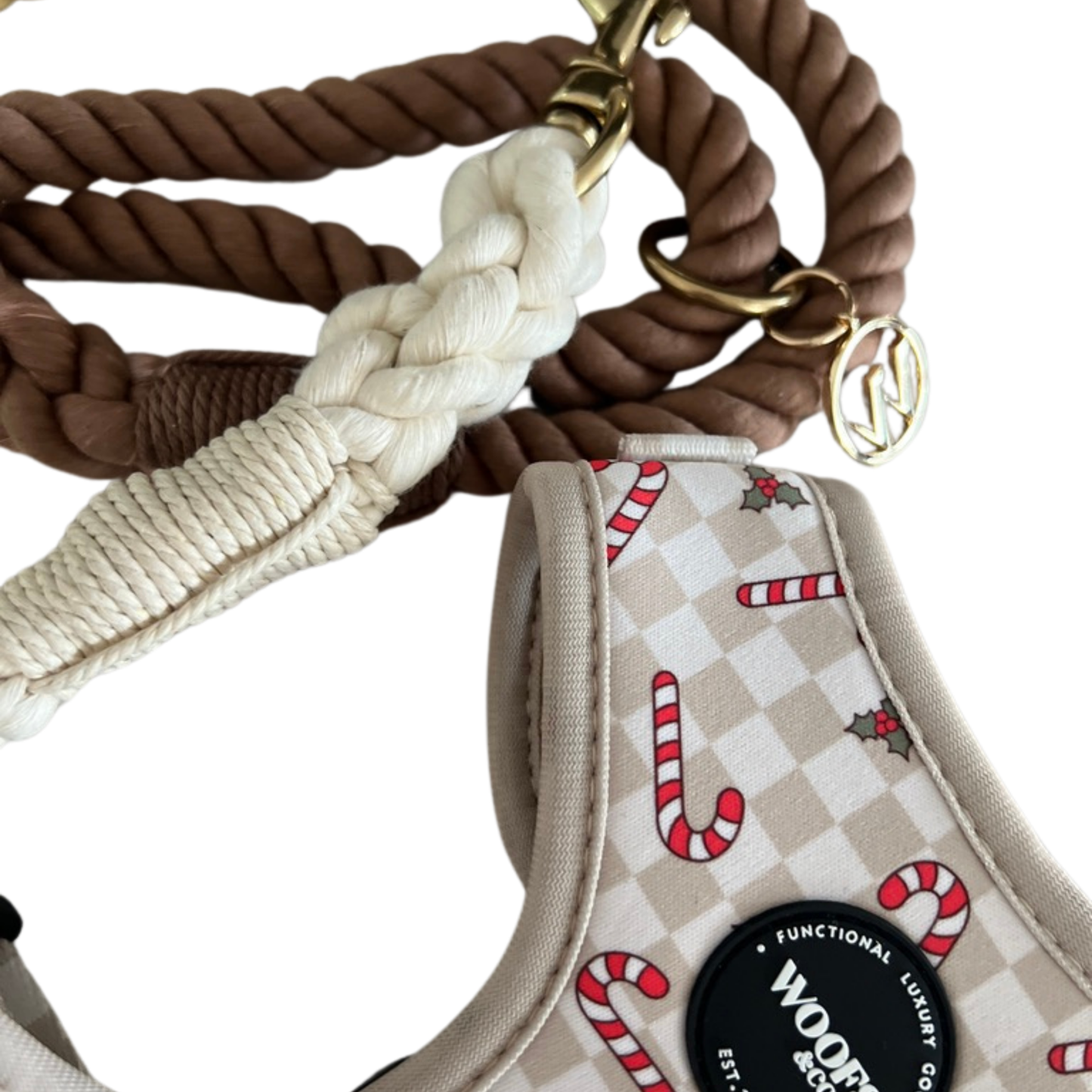 Geschirr – Jolly Woofs Kollektion