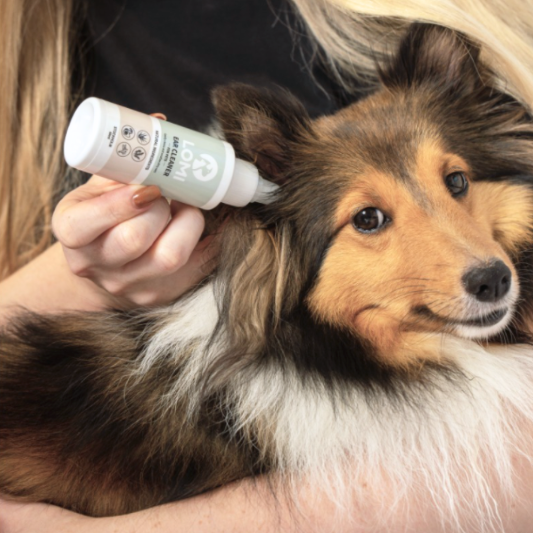 Rosy Brown Lomi Pets Natural Ohrenreiniger