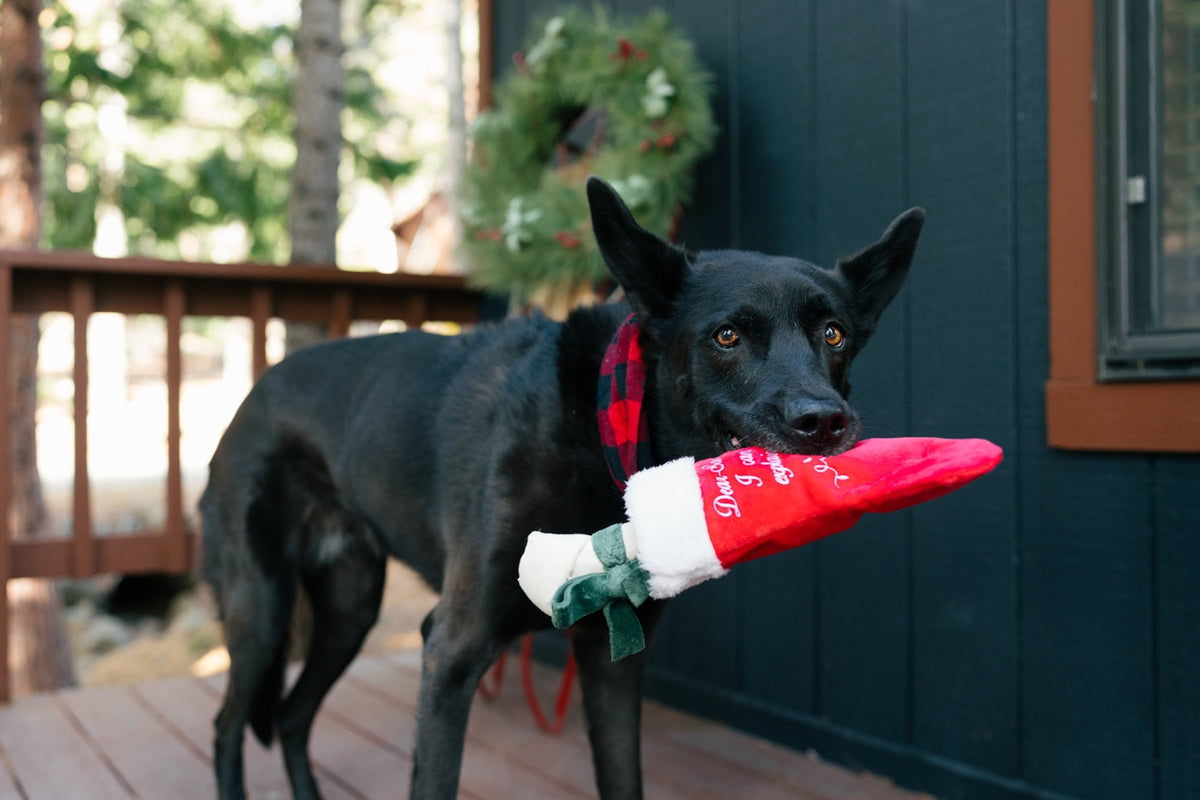 P.L.A.Y. Fröhliche Woofmas Gute Hundestrumpf
