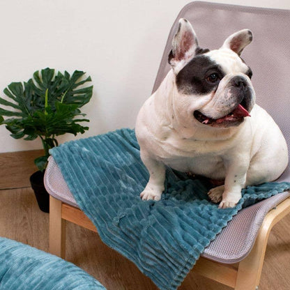 Croci Hundedecke Supersoft Hyg