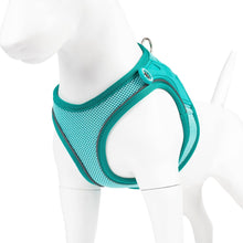Air Vest Dog Harness - Matrix 2.0 Turquoise