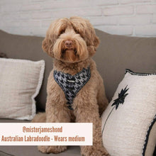 Hundegeschirr Dark Dogstooth
