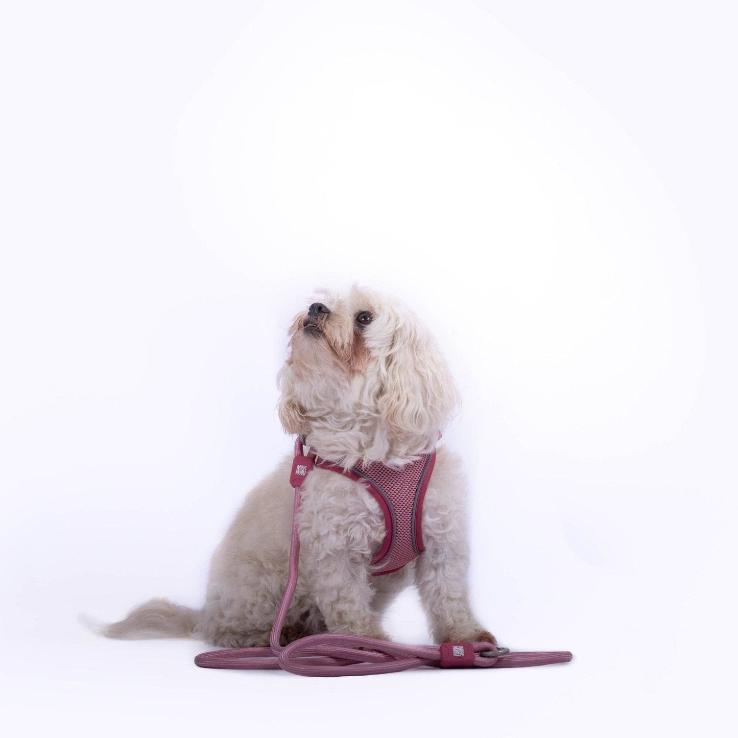 Air Vest Dog Harness - Matrix 2.0 Rose