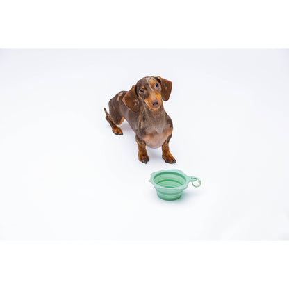 White Smoke United Pets Faltbarer Napf 200 ml „Turtle“