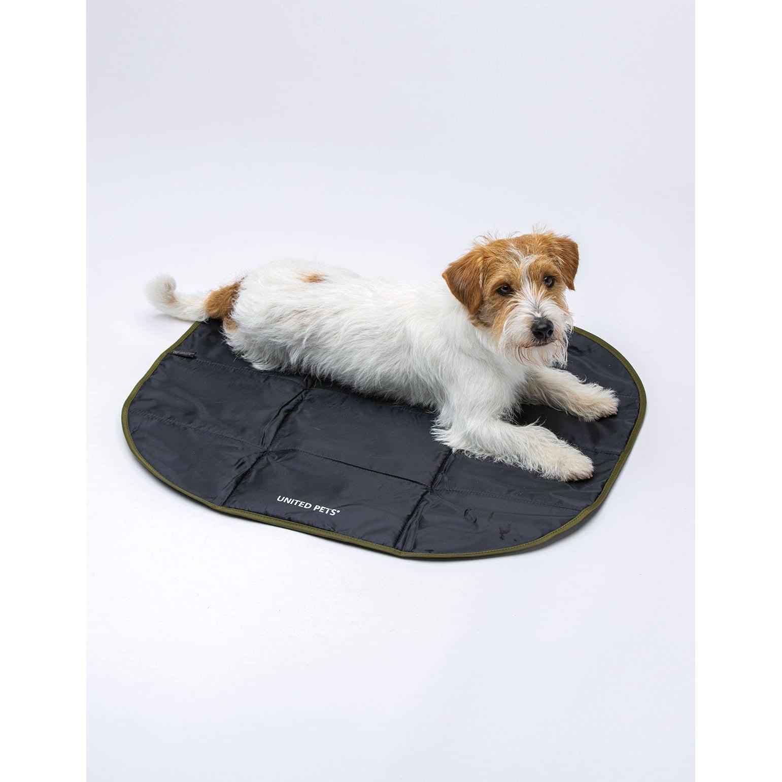 Lavender United Pets Faltbare Reisedecke