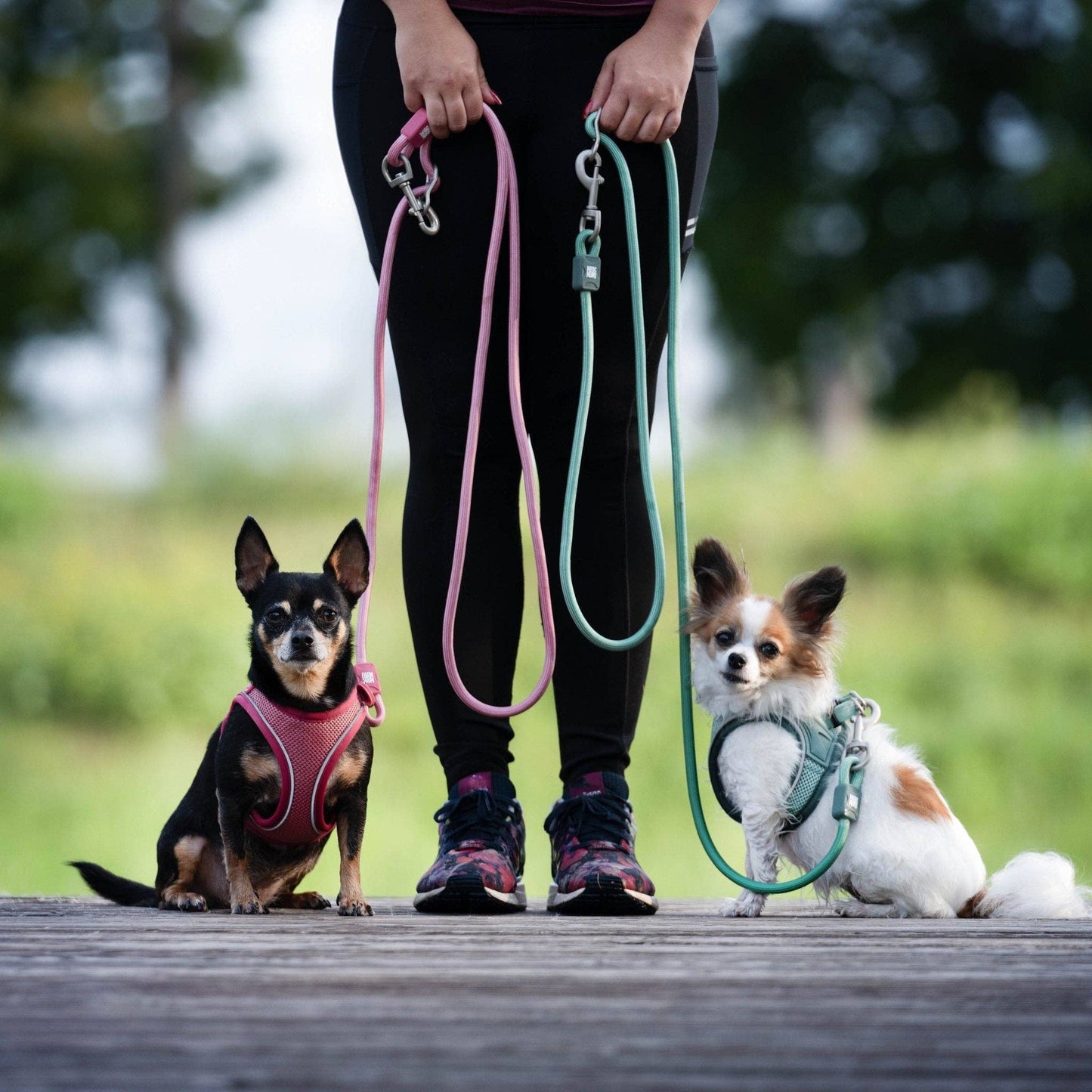 Air Vest Dog Harness - Matrix 2.0 Rose