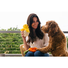 Hippity Hoppity Küken Schau Mich An