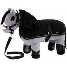 Equithème Pony Academy Lutin