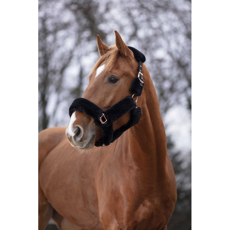 EQUITHÈME Halfter - Teddy Roségold