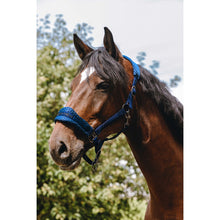 EQUITHÈME Nylonhalfter – 3D Mesh