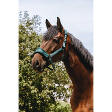 EQUITHÈME Nylonhalfter – 3D Mesh