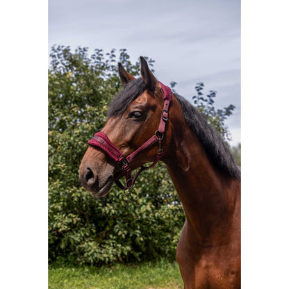 Dark Slate Gray EQUITHÈME Nylonhalfter – 3D Mesh