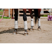 Rosy Brown EQUITHÈME Polobandagen