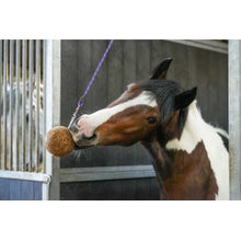 LIKIT - Stall Ball GranoLO - Leicht