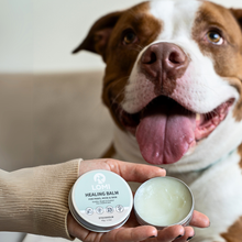 Lomi Pets Healing Balsam