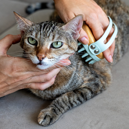 Lomi Pets Bamboo Massage Brush